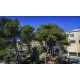 Chorwacja - Hotel Sunny KORALJ*** - Krk / Kwarner