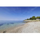 Kemping naturystyczny Ulika**** - Porec